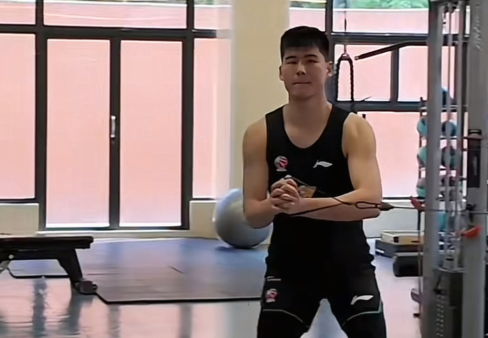 阵容, 伤病迟迟没, 陈家政因为