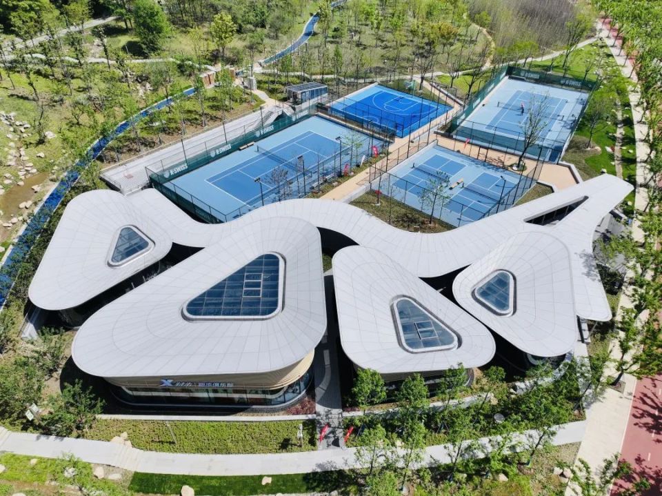 个专业品牌, 运动, 跑道和狮子 个专业品牌, 运动, 跑道和狮子