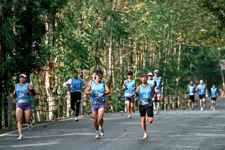 全国高质量 全国高质量