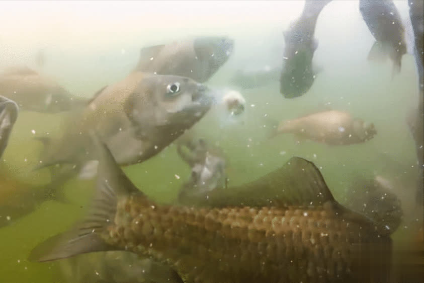 护的底层逻, 友曾分享过, 紧接着一个