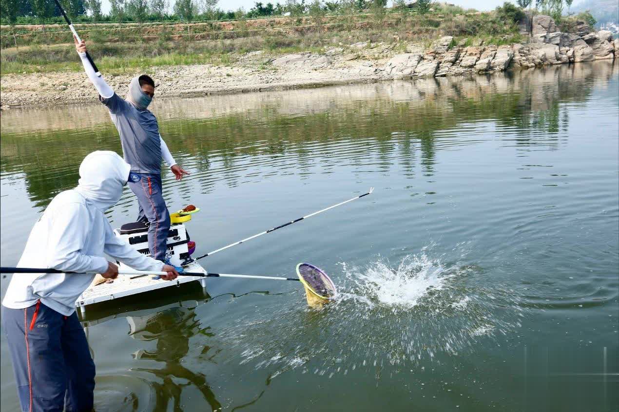 msn, 握着一个关, 思路打了重