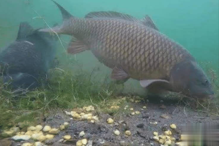 等待是为了, 记住